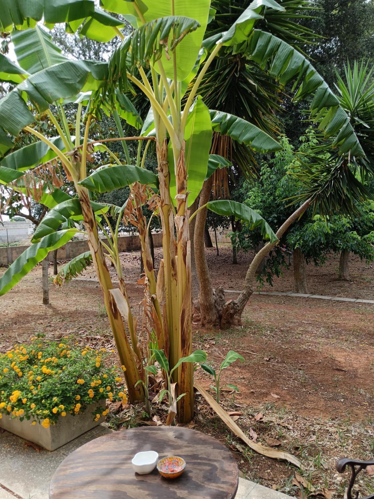 La Casa Del Noce Villa Ruffano Ngoại thất bức ảnh